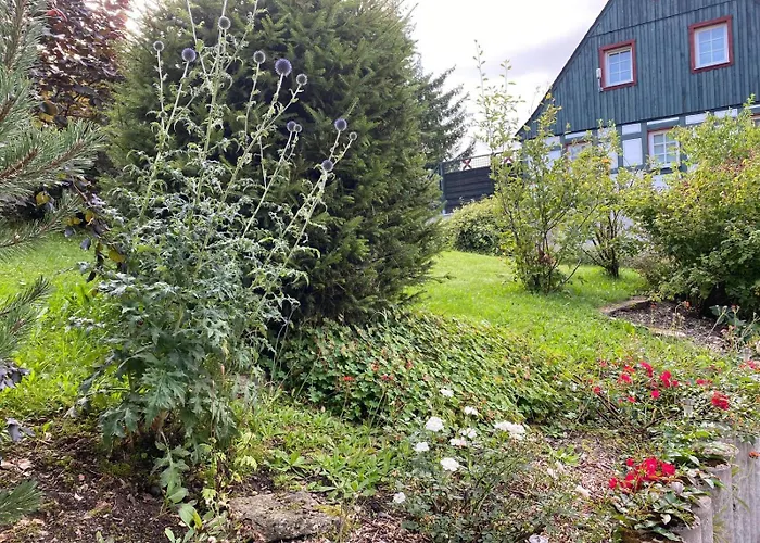 Apartment Kelch Oberwiesenthal